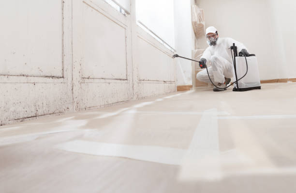 24/7 Emergency Mold Remediation experts in Du Bois, PA