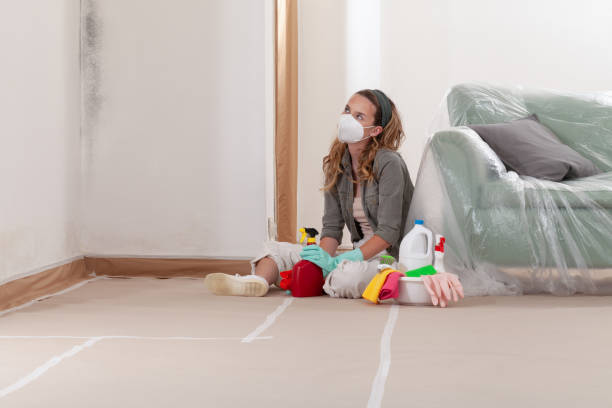 Reliable Mold Remediation contractor in Du Bois, PA by WQB Mold Removal